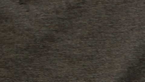 Existen muchas industrias que fabrican ropa, pero solo algunas como Zara ha sabido crear un imperio.