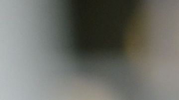 Winery Trump, a la salud de los indocumentados.