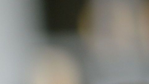 Winery Trump, a la salud de los indocumentados.