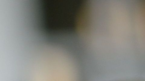 Winery Trump, a la salud de los indocumentados.