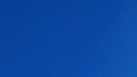 La patinadora fue víctima de una estafa.