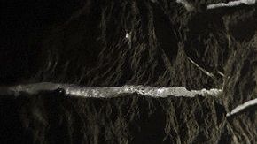 "El Topo" era responsable de los túneles de Guzmán Loera.