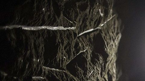 "El Topo" era responsable de los túneles de Guzmán Loera.