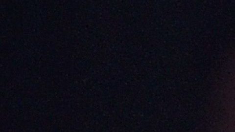 Adele sonriendo en un concierto.