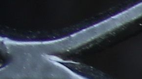 El encierro de menores de Trump.