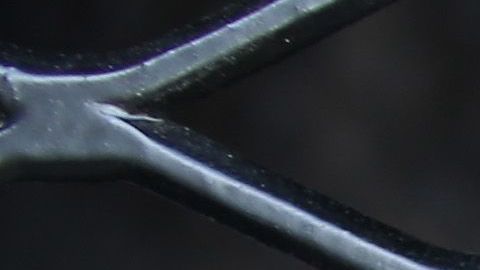 El encierro de menores de Trump.