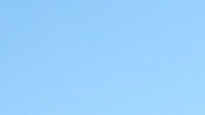 Lewis Hamilton tiene dos bulldogs.