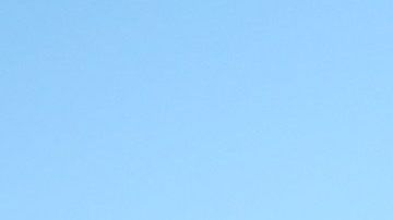 Lewis Hamilton tiene dos bulldogs.