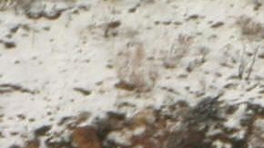 Se esperan retenciones sobre la autopista I-5.