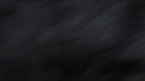 Gato con rata de laboratorio.