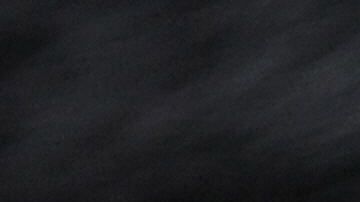 Gato con rata de laboratorio.