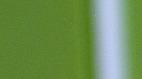 Taco Bell Menu Items, Headquarters And Restaurant Shoot