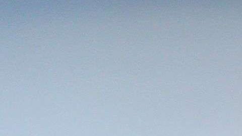 Ojalá EEUU adopte medidas reformadoras.