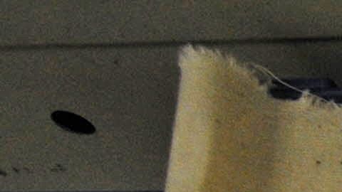 An Austrian worker handles ten-kilogram