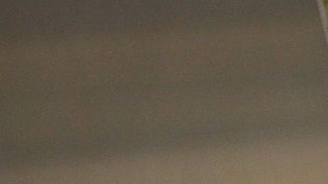 Los agentes de CBP tienen acceso a bases de datos especiales.