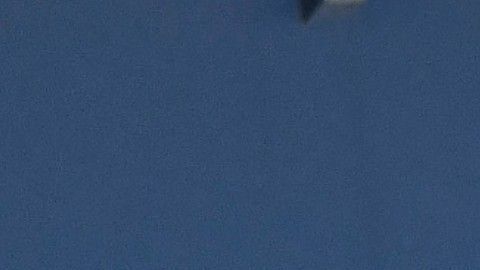 Infantino elogió entusiastamente el trabajo de los regios.