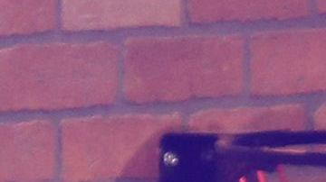 Al basquebolista lo acompañaban su hija, una entrenadora de ella, dos compañeras de equipo y sus familiares, además del piloto.