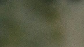 Alan Hattel se llevó una gran sorpresa.