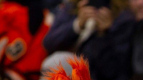 El niño sufrió una "contusión torácica con subluxación".