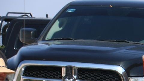 Los restos estaban en bolsas de plástico.