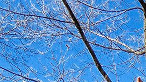 El hombre fue finalmente detenido.