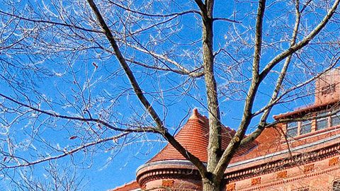 El hombre fue finalmente detenido.