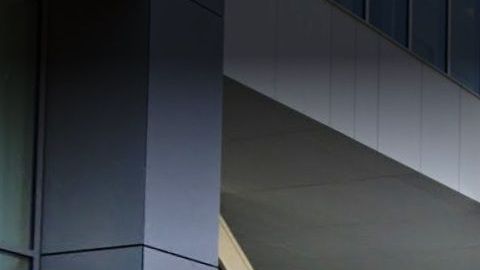 SUNY Downstate Health Sciences University, 450 Clarkson Ave, Brooklyn