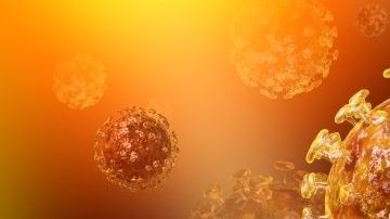 Los coronavirus son una familia viral que puede causar enfermedades como resfriado común hasta el Síndrome Respiratorio Agudo Severo y el Covid-19.