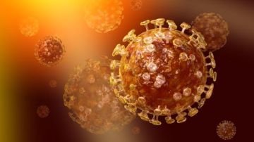 Los coronavirus son una familia viral que puede causar enfermedades como resfriado común hasta el Síndrome Respiratorio Agudo Severo y el Covid-19.
