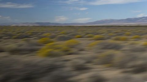 Los ejecutivos de Dodge aseguran que las bajas ventas del Viper se debe a que es un modelo exótico y exclusivo.