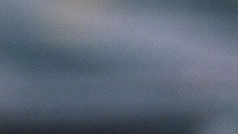 Narciso Mina nunca despegó en el América.