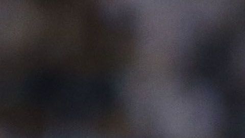 César Ramos no ha pitado desde la final América vs. Monterrey.