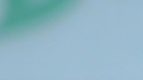 Jémez tras su paso por La Máquina admitió que extraña ciertos comportamientos de los silbantes mexicanos.