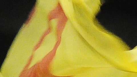 El conductor de televisión revela su pasado.