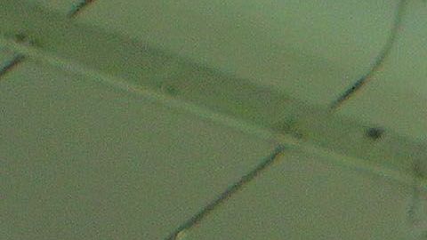 Almeyda tendrá su segunda temporada al frente de San José Earthquakes.