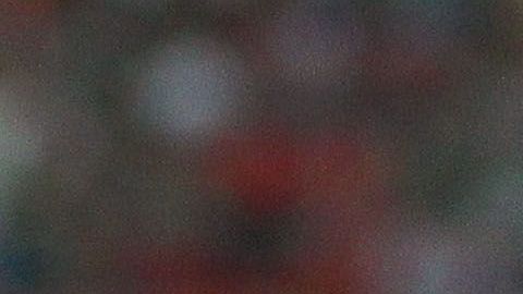 Rodolfo Pizarro fue campeón con Chivas en 2017.