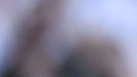 Carlos Vela y Javier Hernández, dos de los mejores delanteros mexicanos.