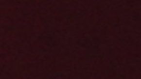 Ruiz va con McGregor