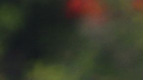 Omar Lomelí fue cesado del América a finales del 2019.