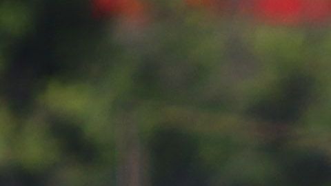 Omar Lomelí fue cesado del América a finales del 2019.