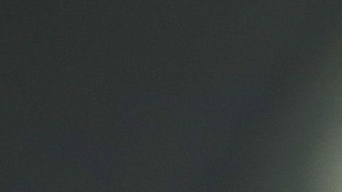 Alan Pulido llega a la MLS tras un gran torneo con Chivas.