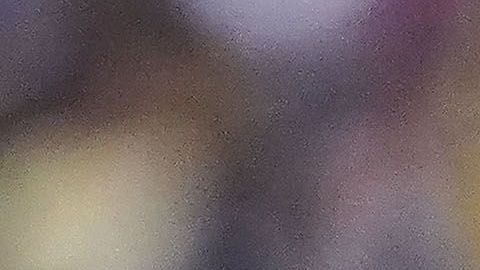 América y Pumas se verán la cara en Estados Unidos.Foto: Imago7/