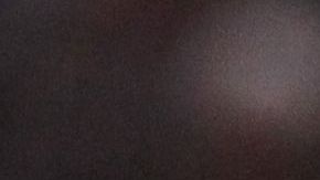 El defensor podría salir de la institución en estos días.