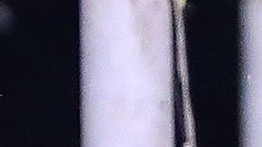 El delantero chileno ahora defenderá los colores de los de Oregon.