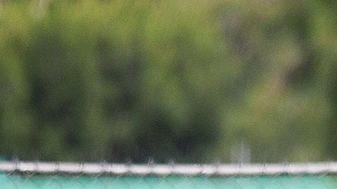 Peláez aseguró la continuidad de Tena.