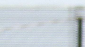 Omar Lomelí en un partido contra Santos sub 17.