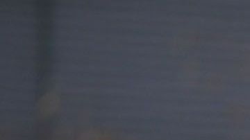 El América femenil se está reestructurando.