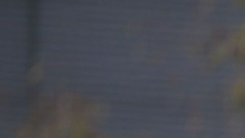 El América femenil se está reestructurando.