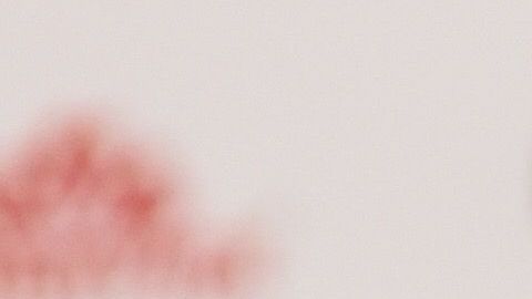 Peláez es pieza fundamental en la transformación de Chivas.