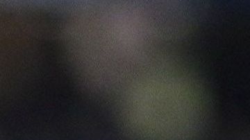 Santiago Baños es el director deportivo del América